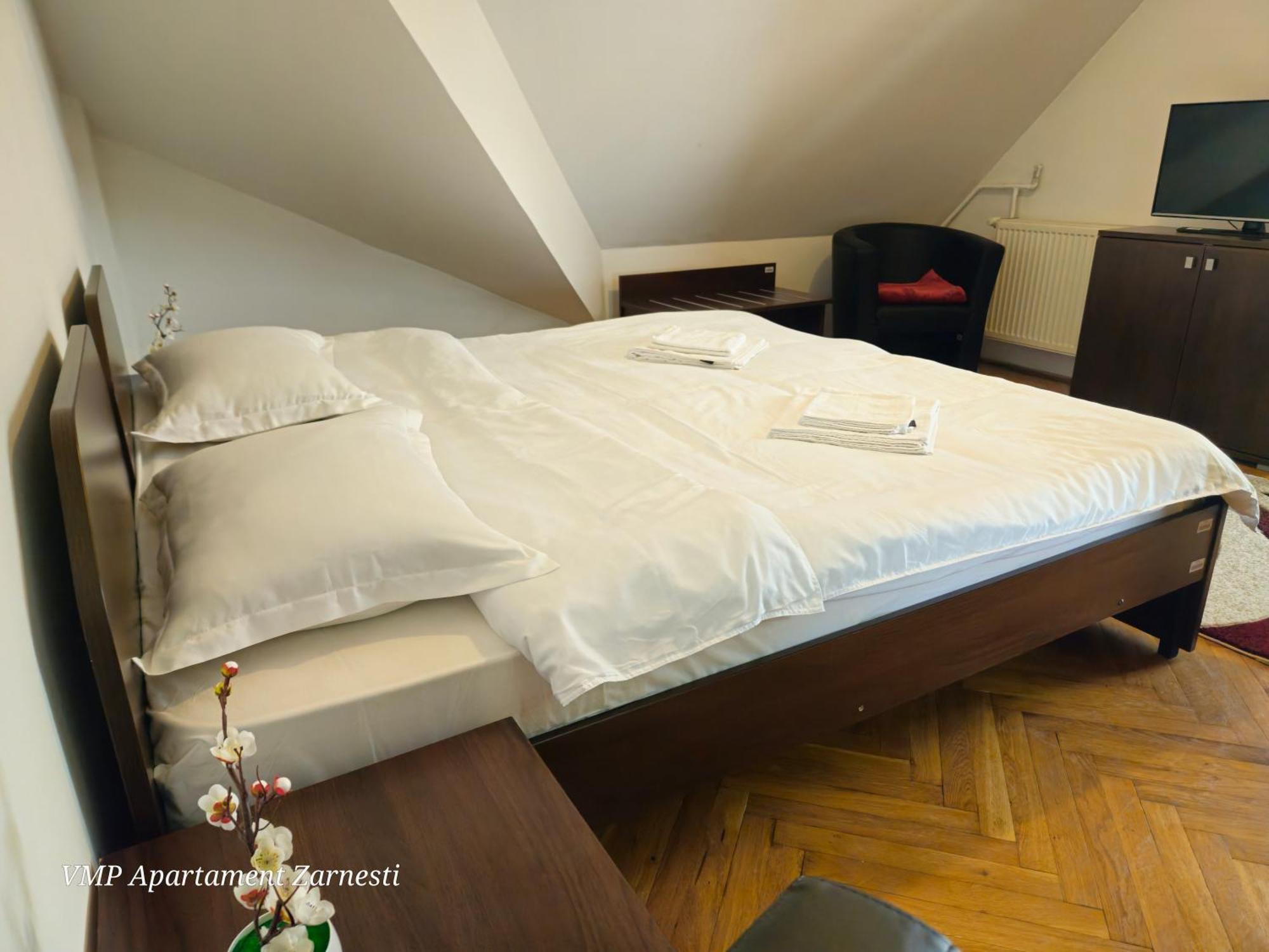 Apartment Zarnesti City Centre Vmp Free Parking エクステリア 写真