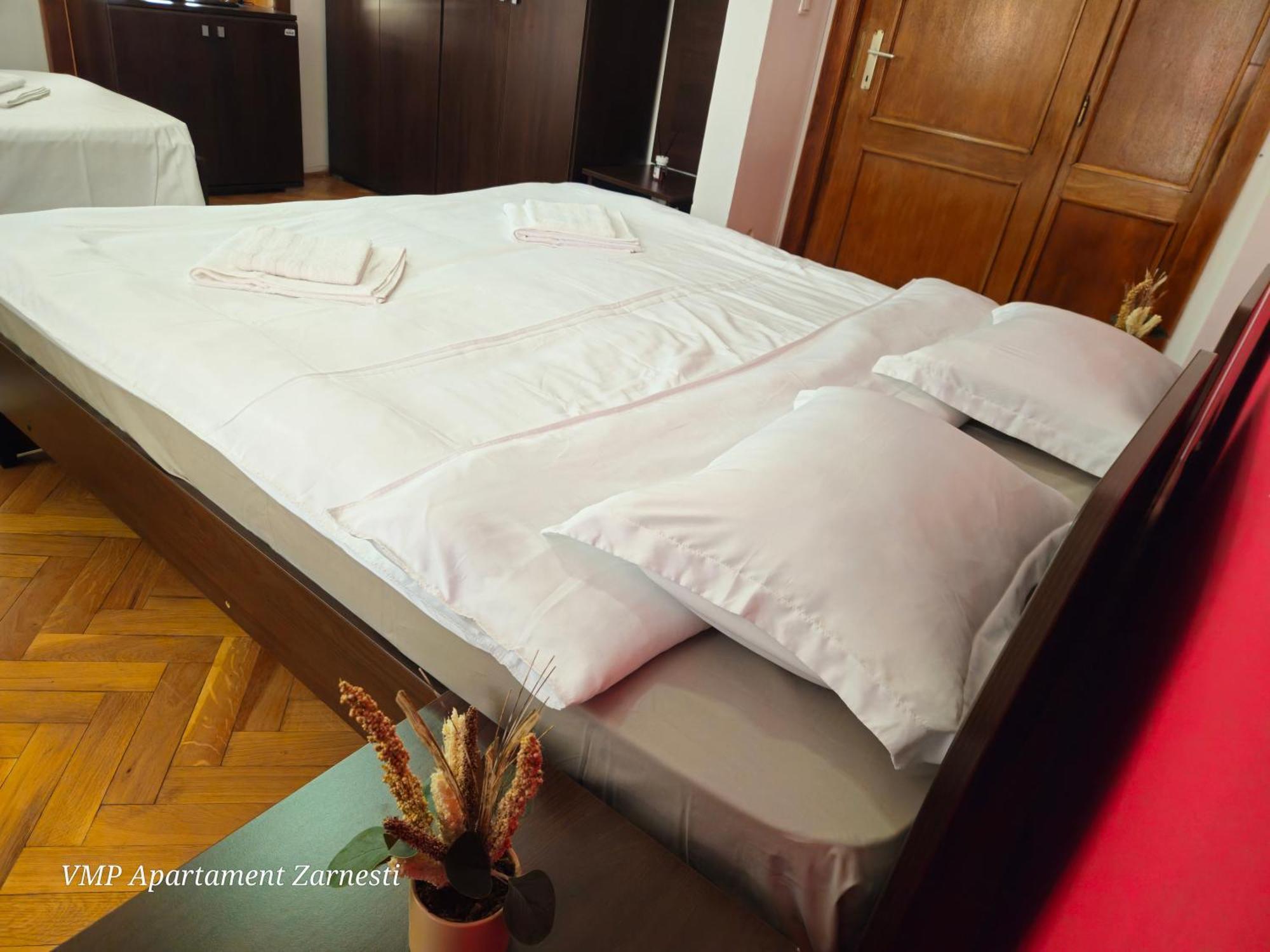 Apartment Zarnesti City Centre Vmp Free Parking エクステリア 写真