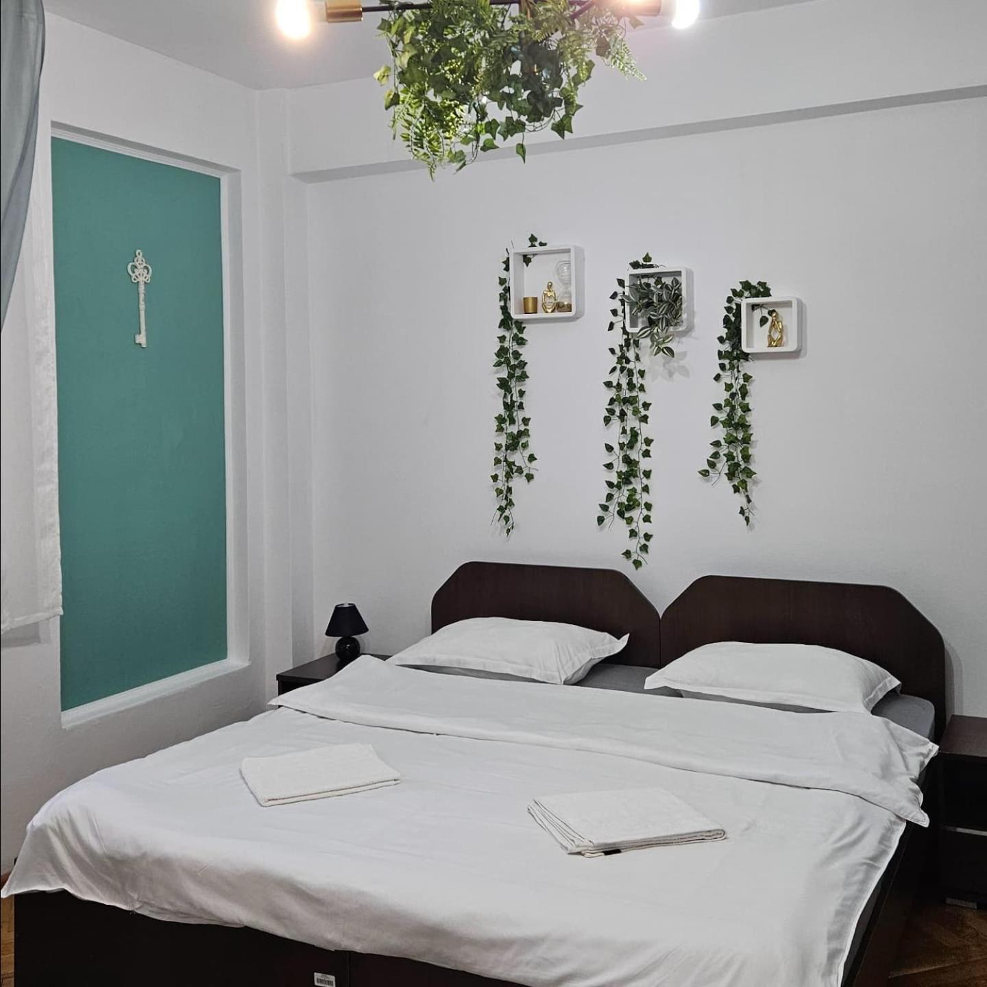 Apartment Zarnesti City Centre Vmp Free Parking エクステリア 写真