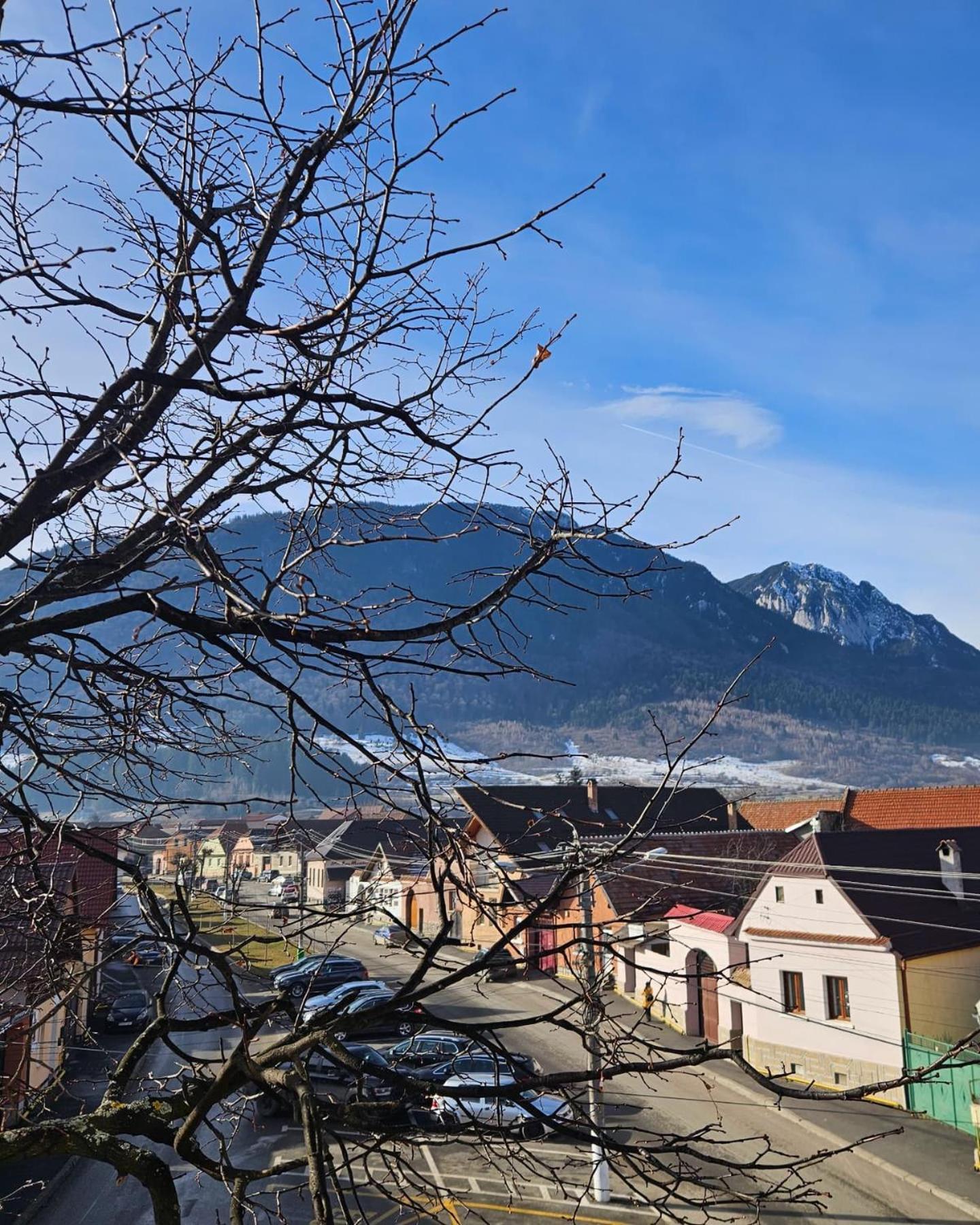Apartment Zarnesti City Centre Vmp Free Parking エクステリア 写真