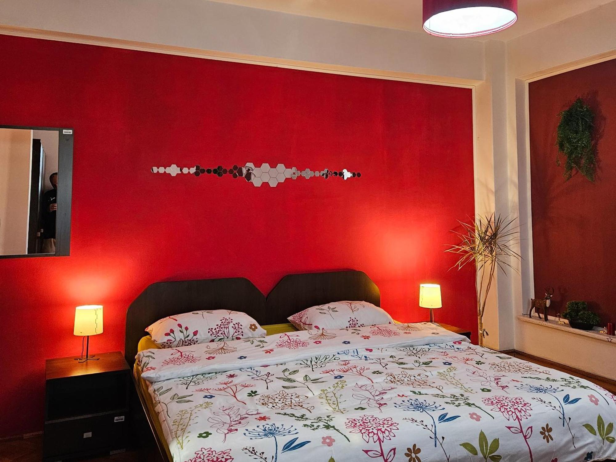 Apartment Zarnesti City Centre Vmp Free Parking エクステリア 写真